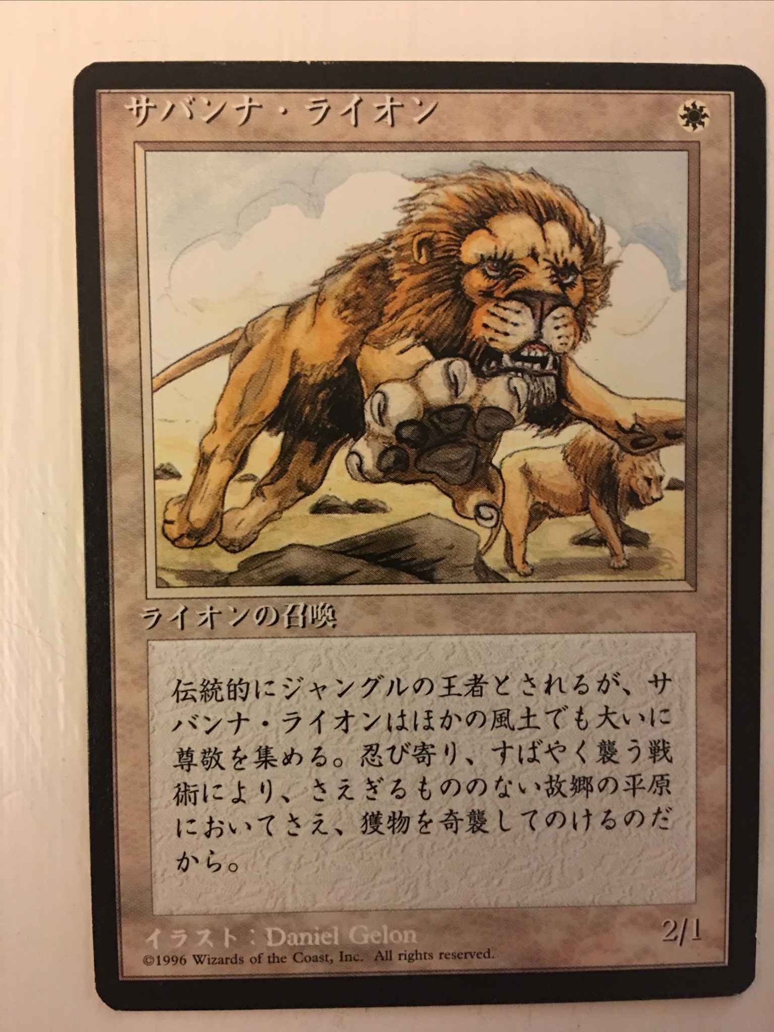 Savannah Lions Fbb Japanese See Photos Savannah Lions Fourth Edition Foreign Black Border Magic The Gathering Online Gaming Store For Cards Miniatures Singles Packs Booster Boxes