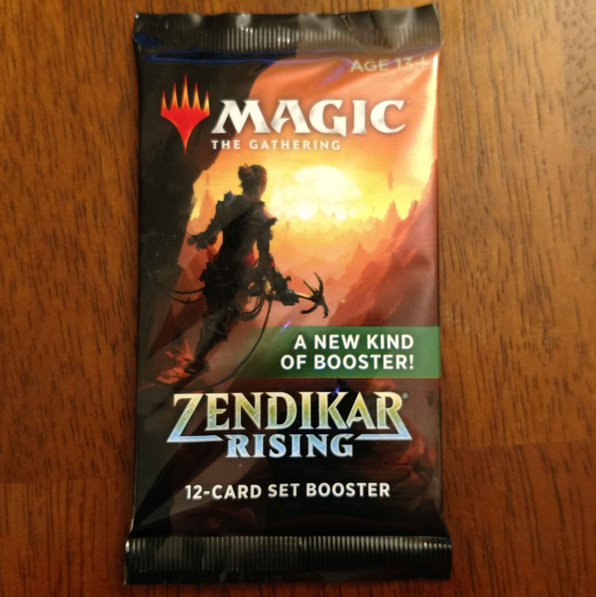 Magic the Gathering MTG Zendikar Rising Set Booster Pack 14 