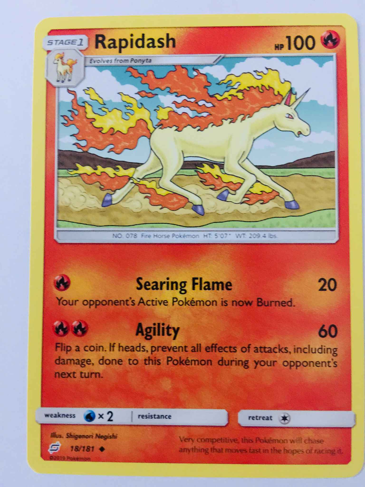 Rapidash