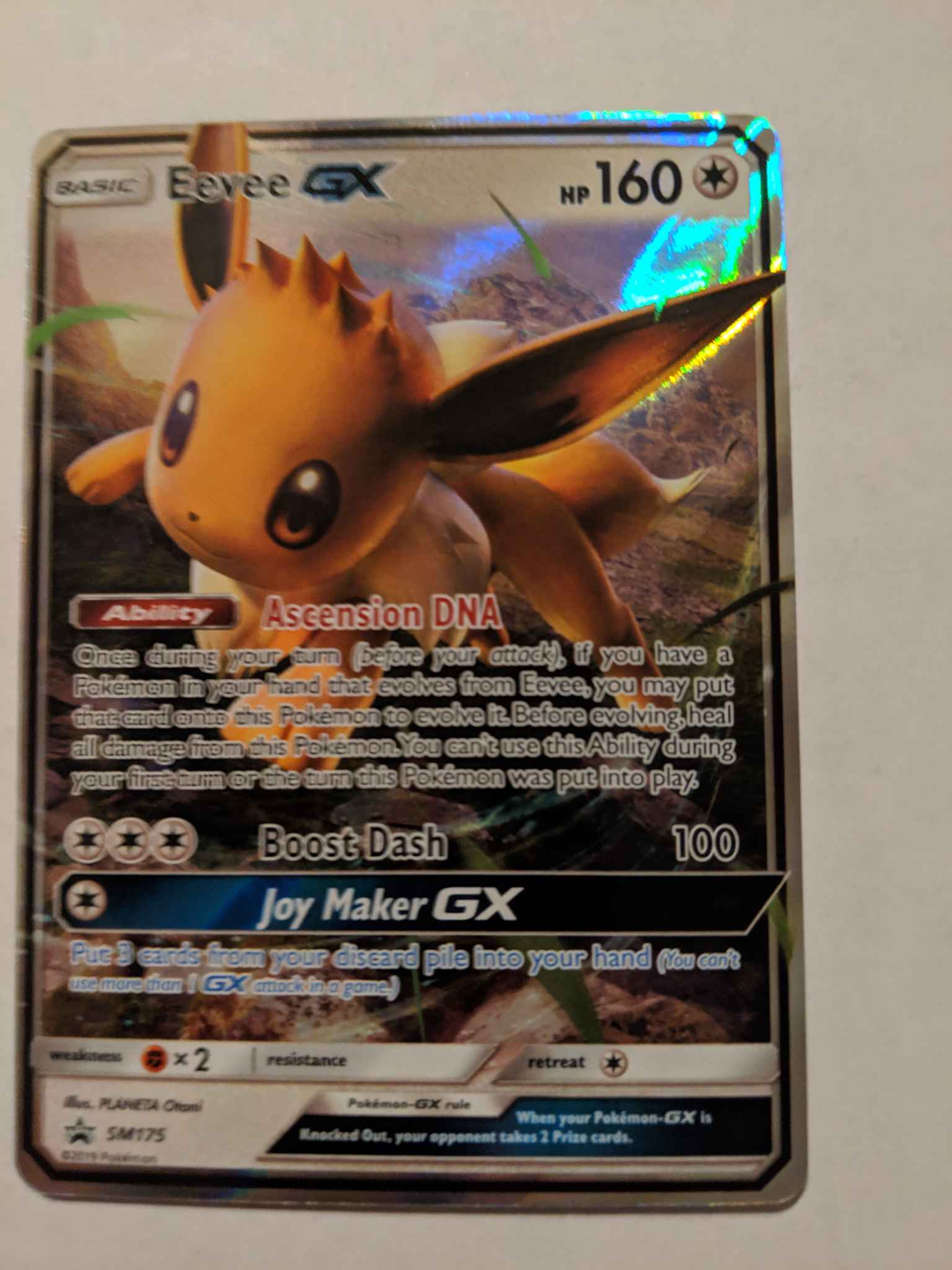 Pokemon Tcg Pokémon Trading Card Game Sm Promo Eevee Gx