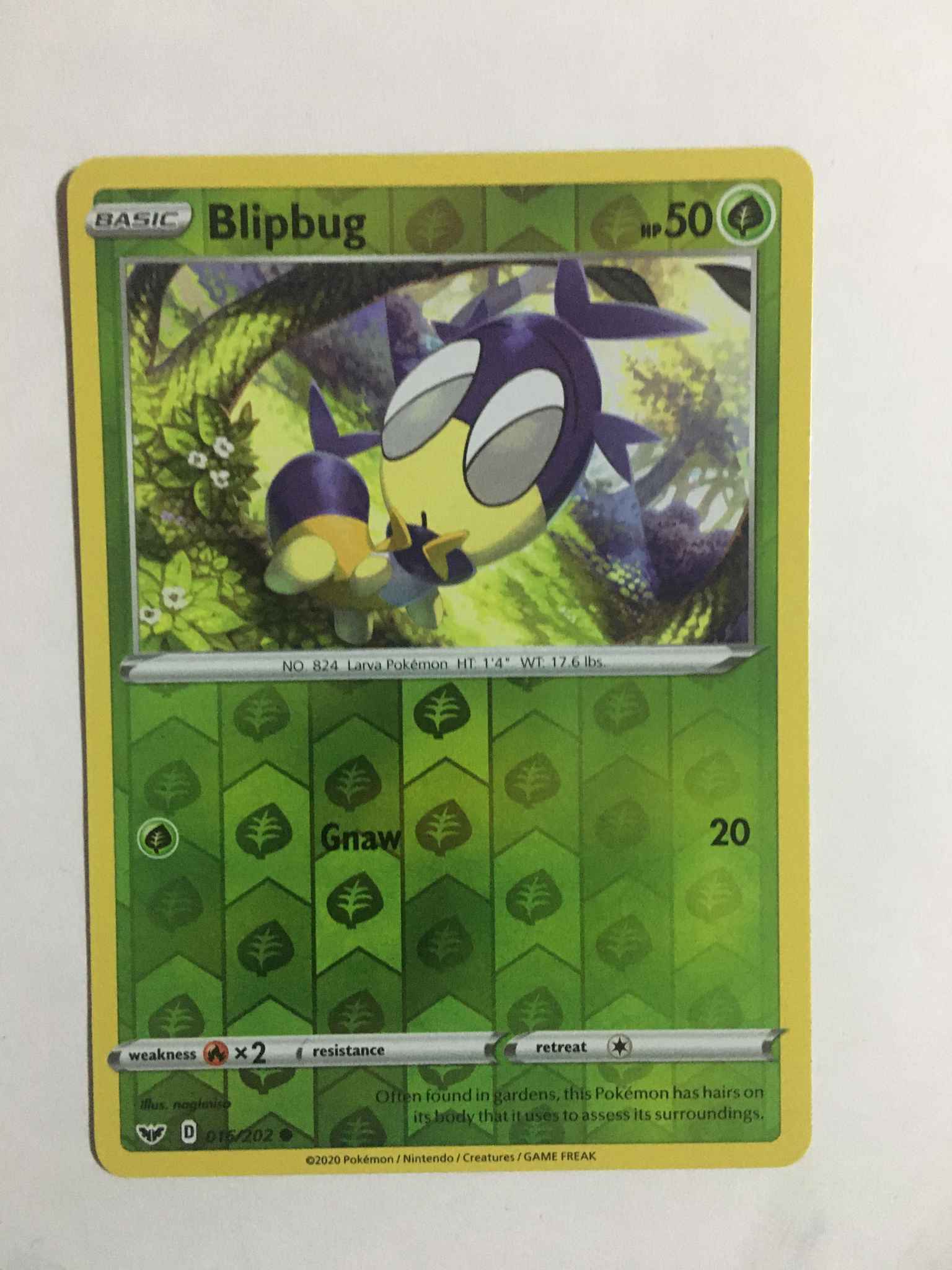 Blipbug 016 Blipbug 016 Swsh01 Sword Shield Base Set Pokemon