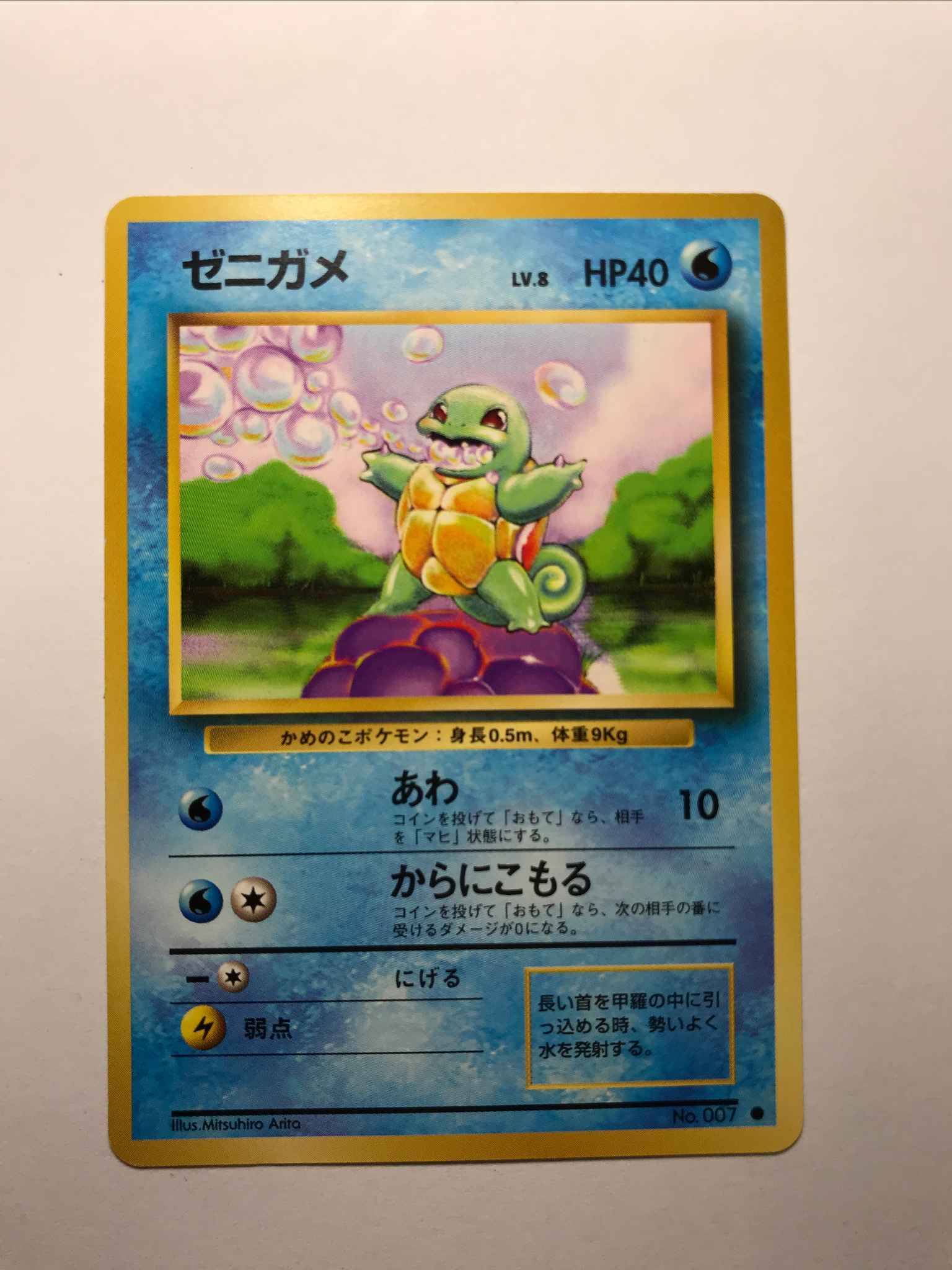 Japanese Squirtle : Squirtle - Base Set - Pokemon