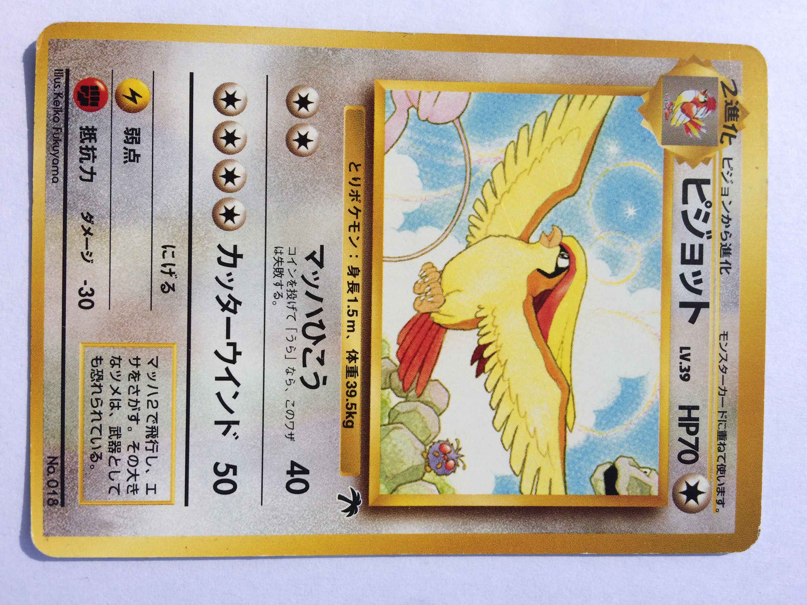 Pidgeot 018 Japanese Lp Actual Card Pictured Pidgeot Southern Islands Pokemon