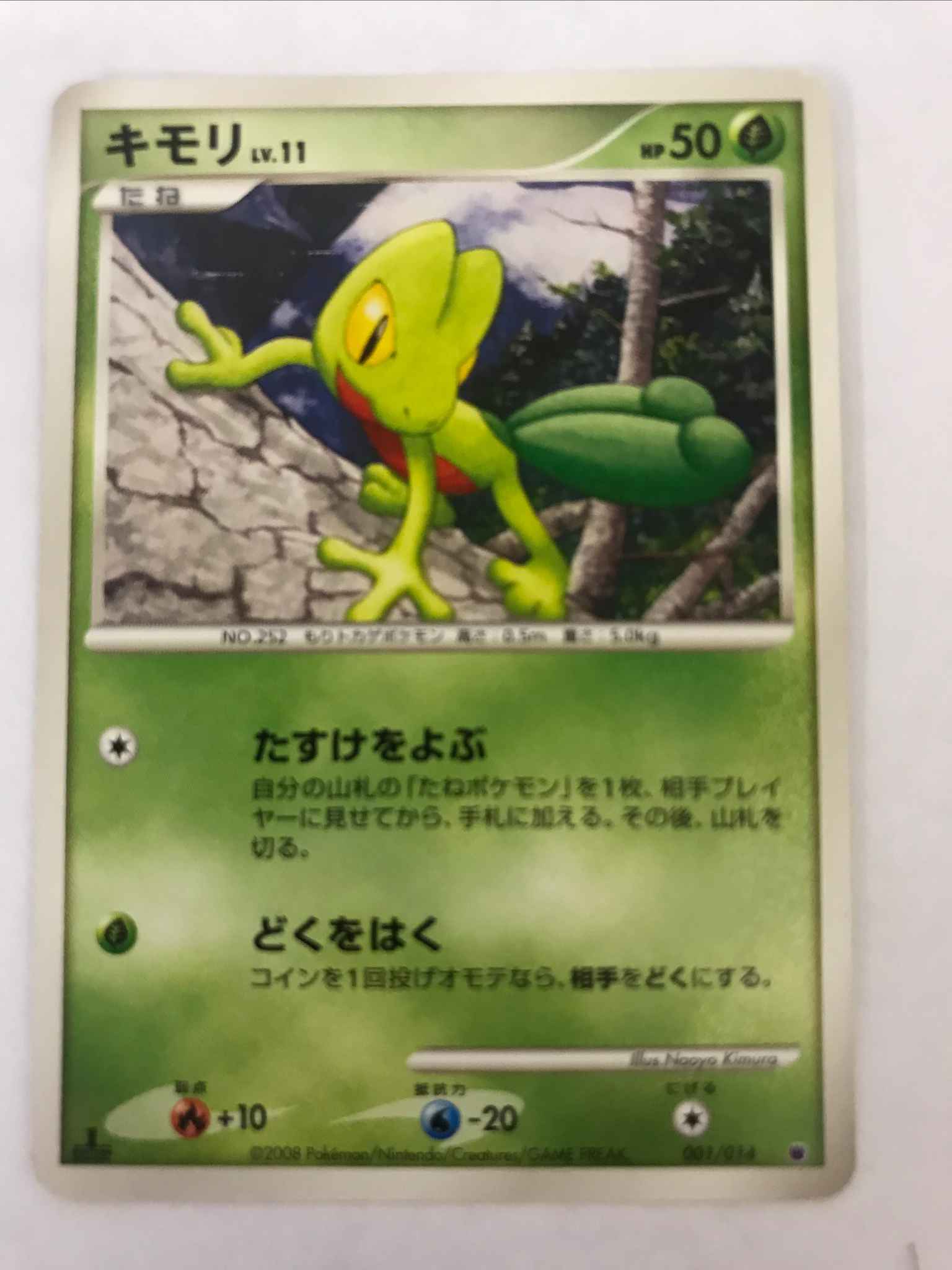 Japanese Treecko Treecko Stormfront Pokemon