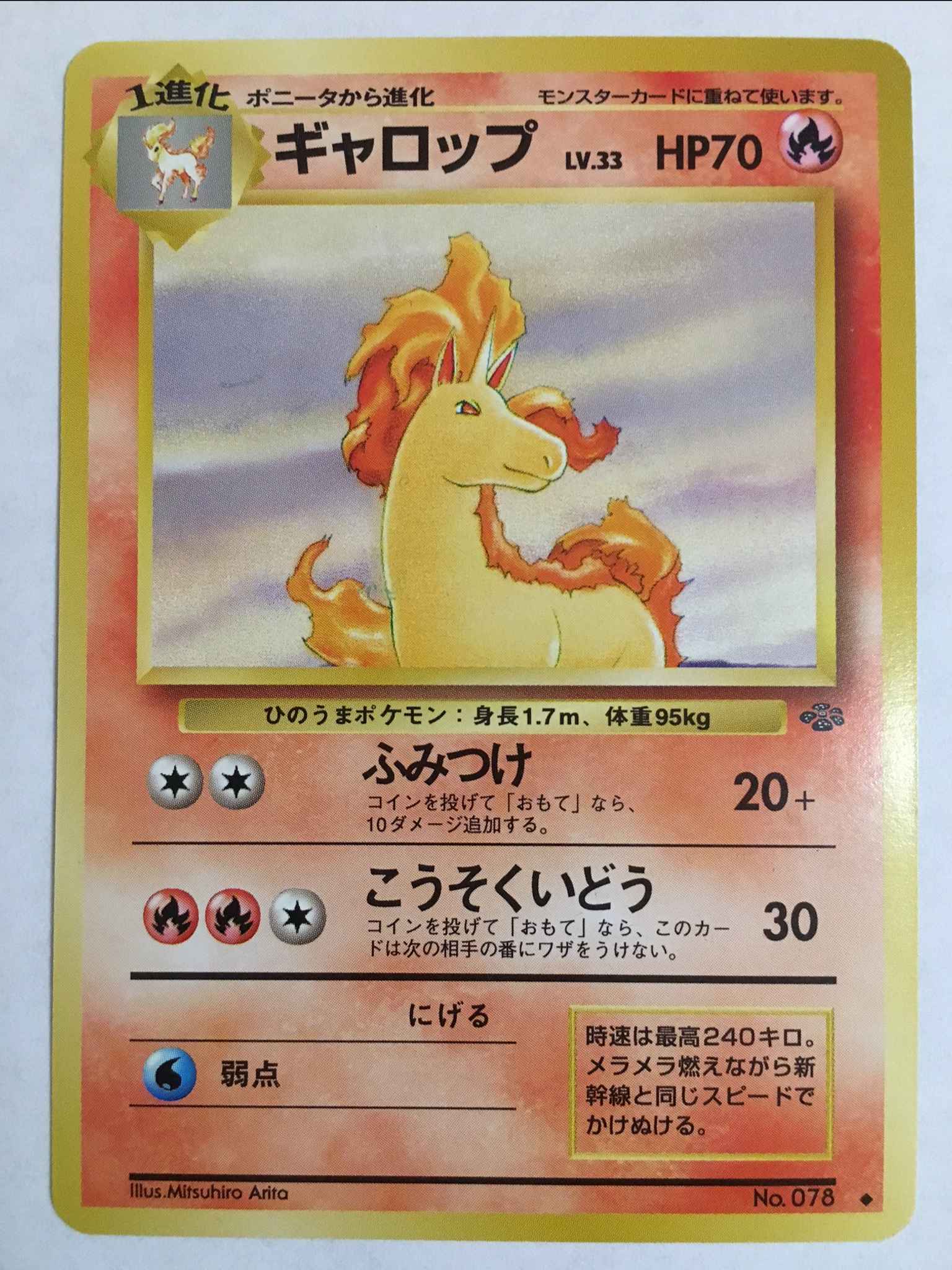 Japanese Rapidash Rapidash Jungle Pokemon