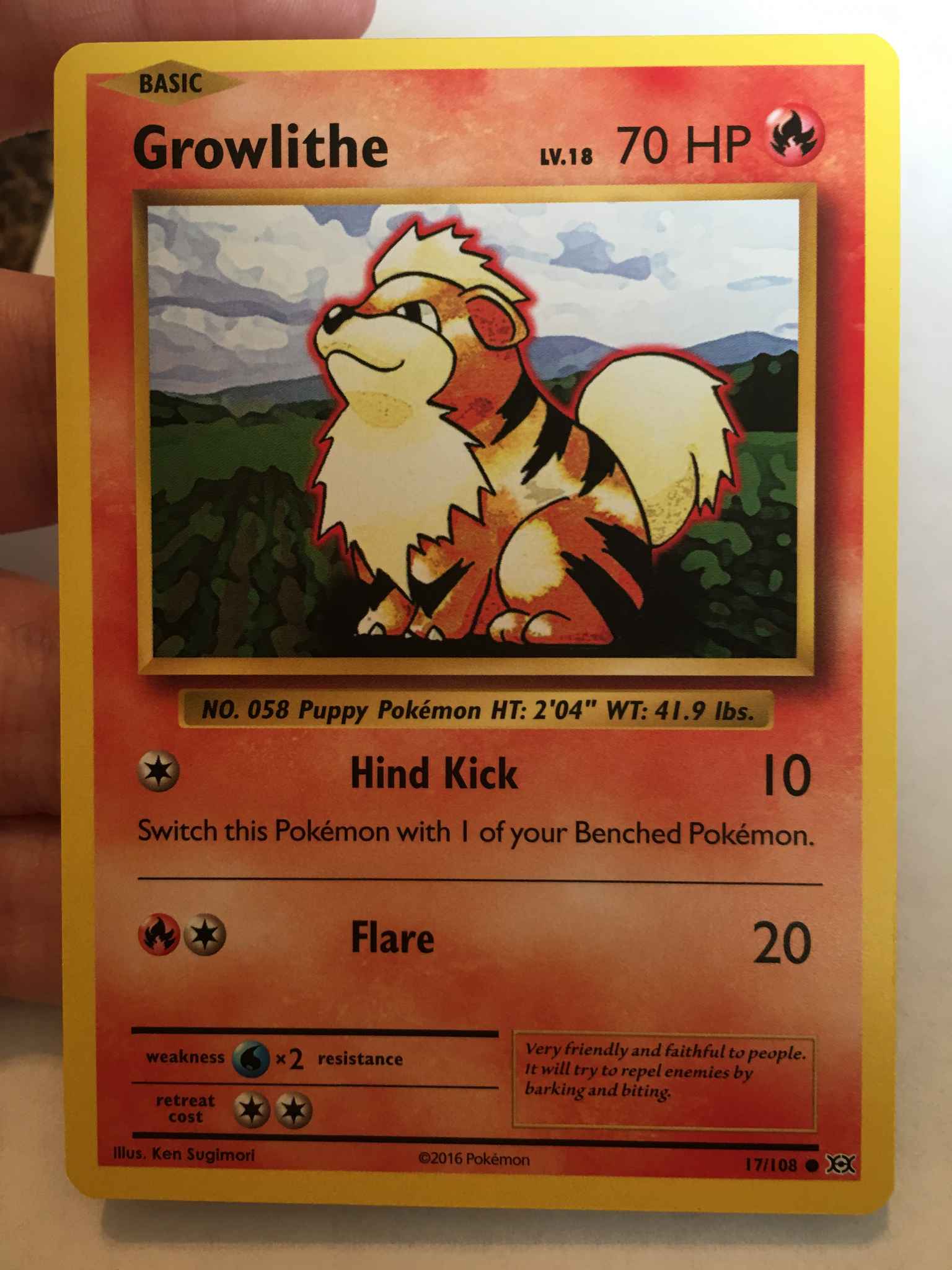 17/108 Growlithe Common Reverse Holo XY Evolutions Pokemon Card