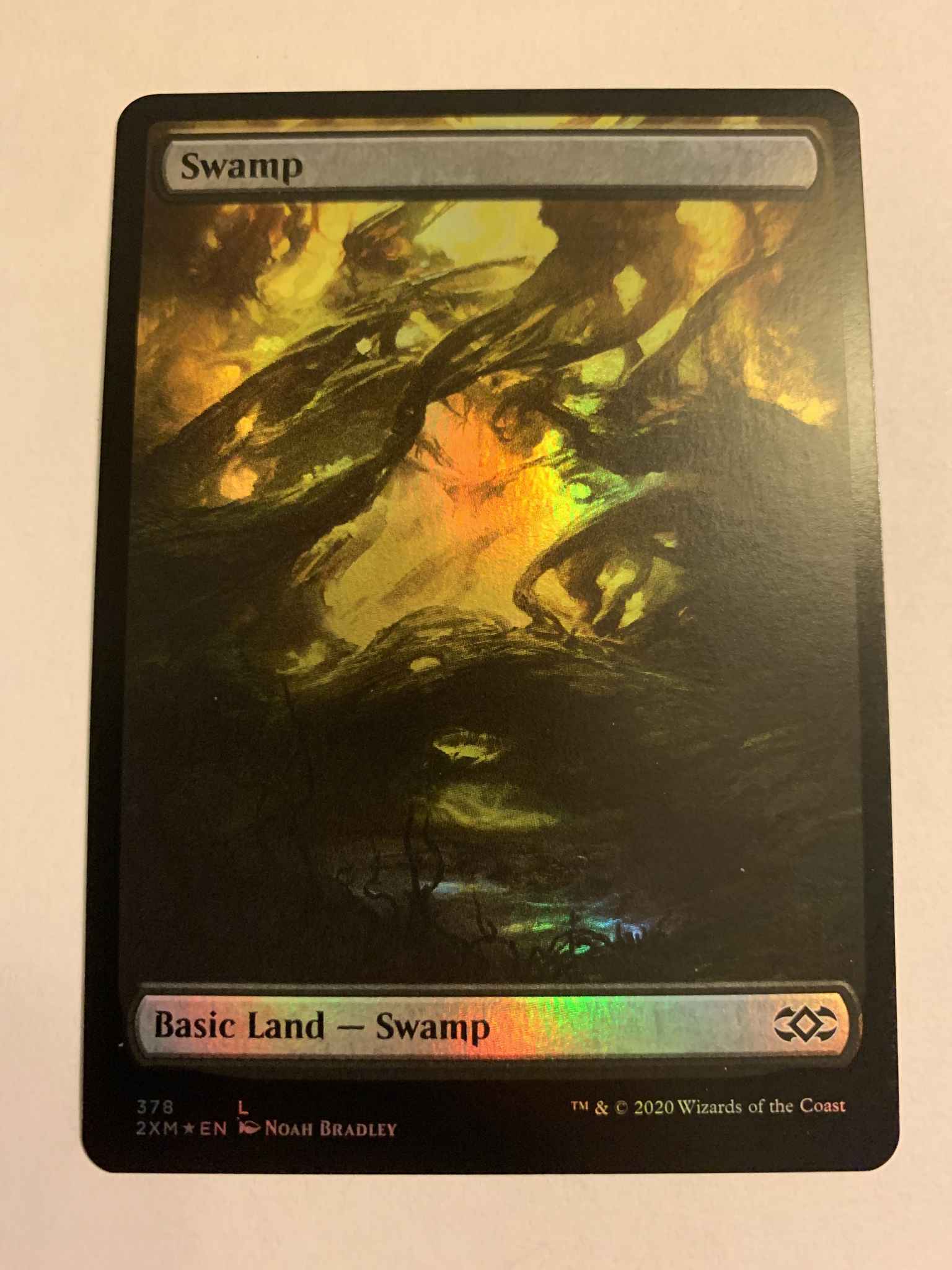 PREORDER Swamp NM/M FULL ART FOIL Double Masters MTG Unhinged 