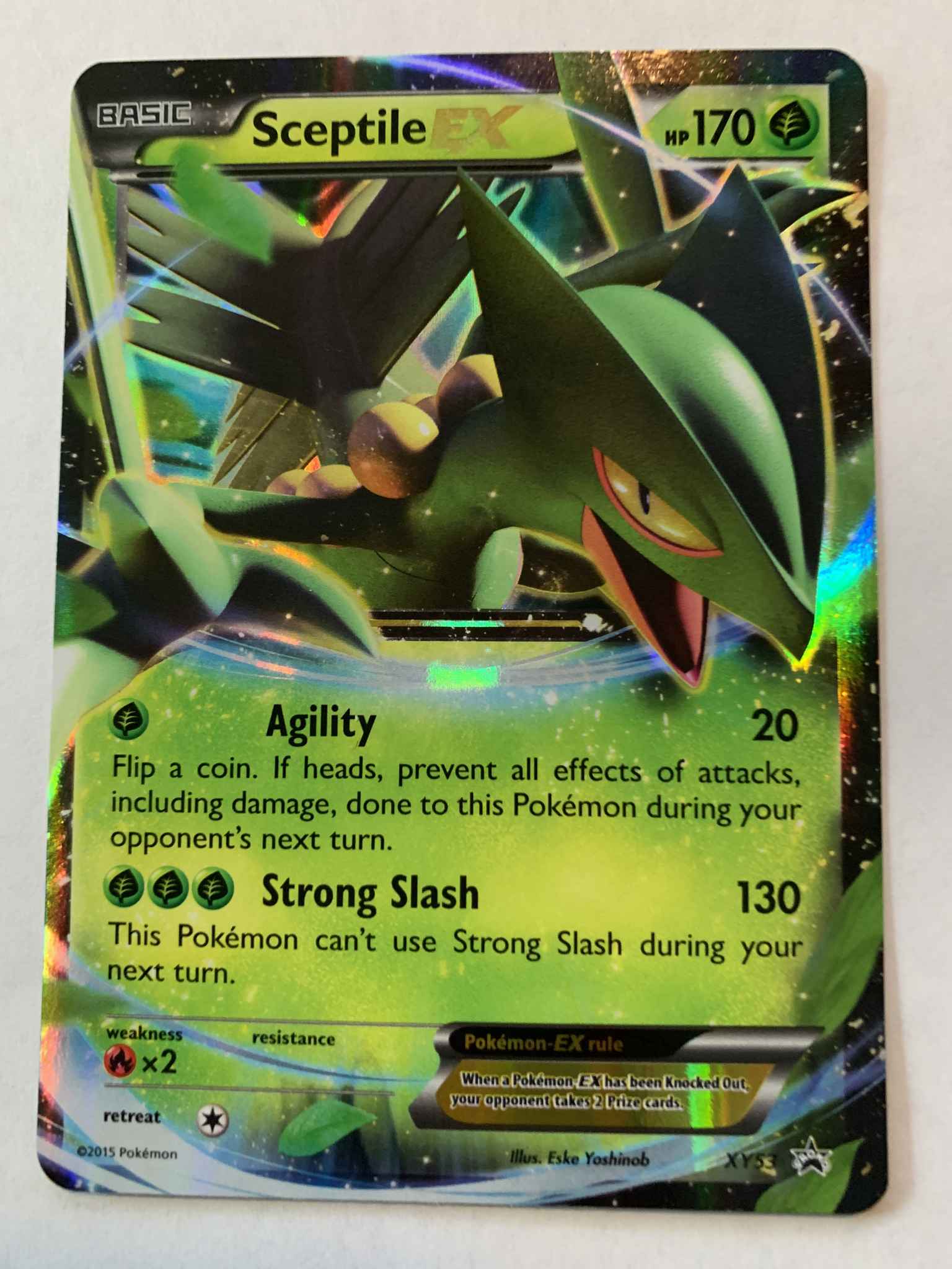 Sceptile Ex Sceptile Ex Xy53 Xy Promos Pokemon Online Gaming Store For Cards Miniatures Singles Packs Booster Boxes