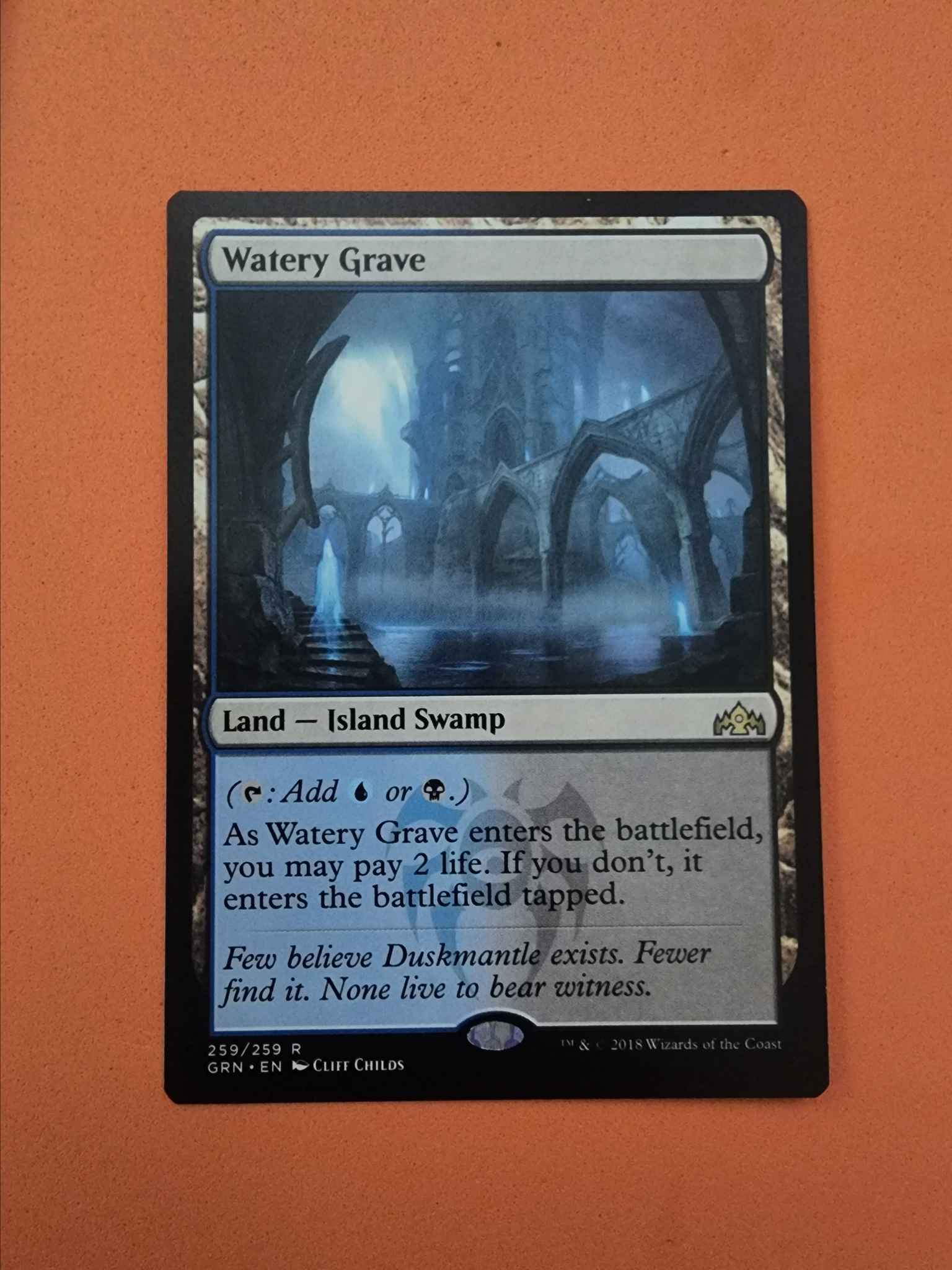 NM MTG Magic Card Guilds of Ravnica Watery Grave