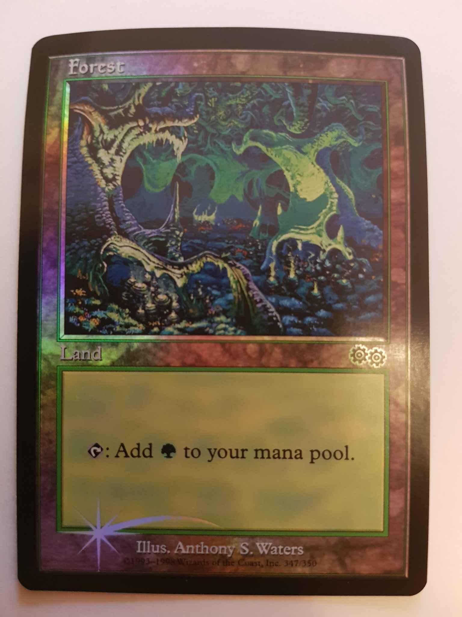 Forest (1999) : Forest (1999) - Arena Promos - Magic: the Gathering