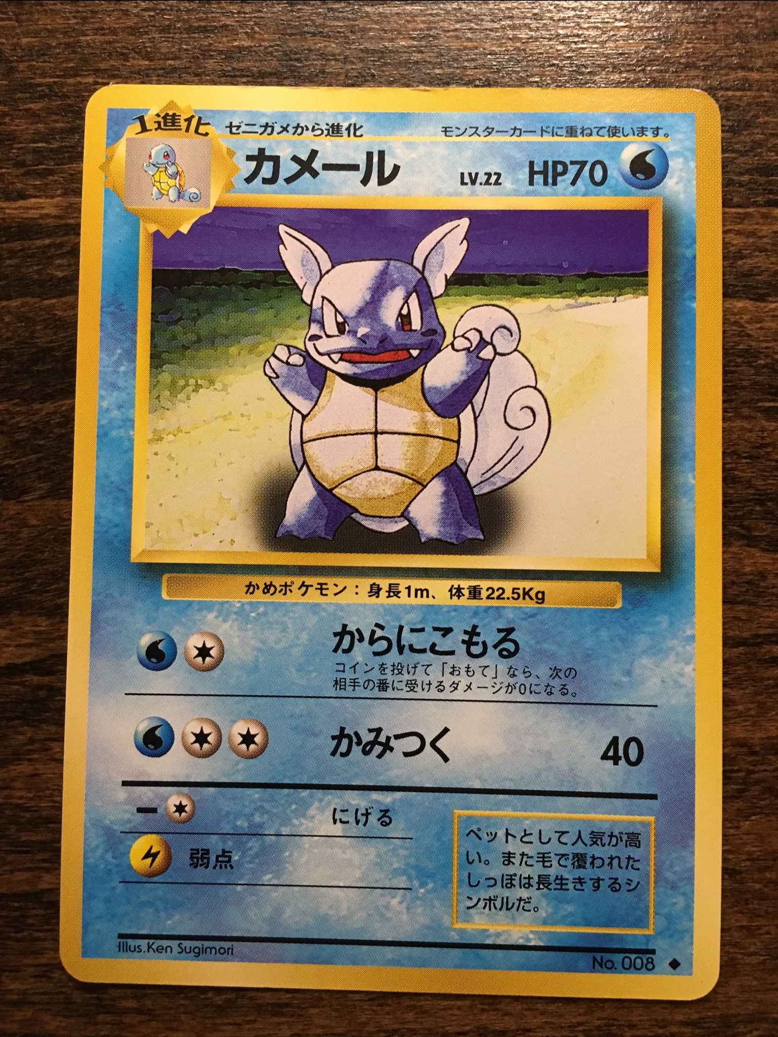 Japanese Wartortle Wartortle Base Set Pokemon