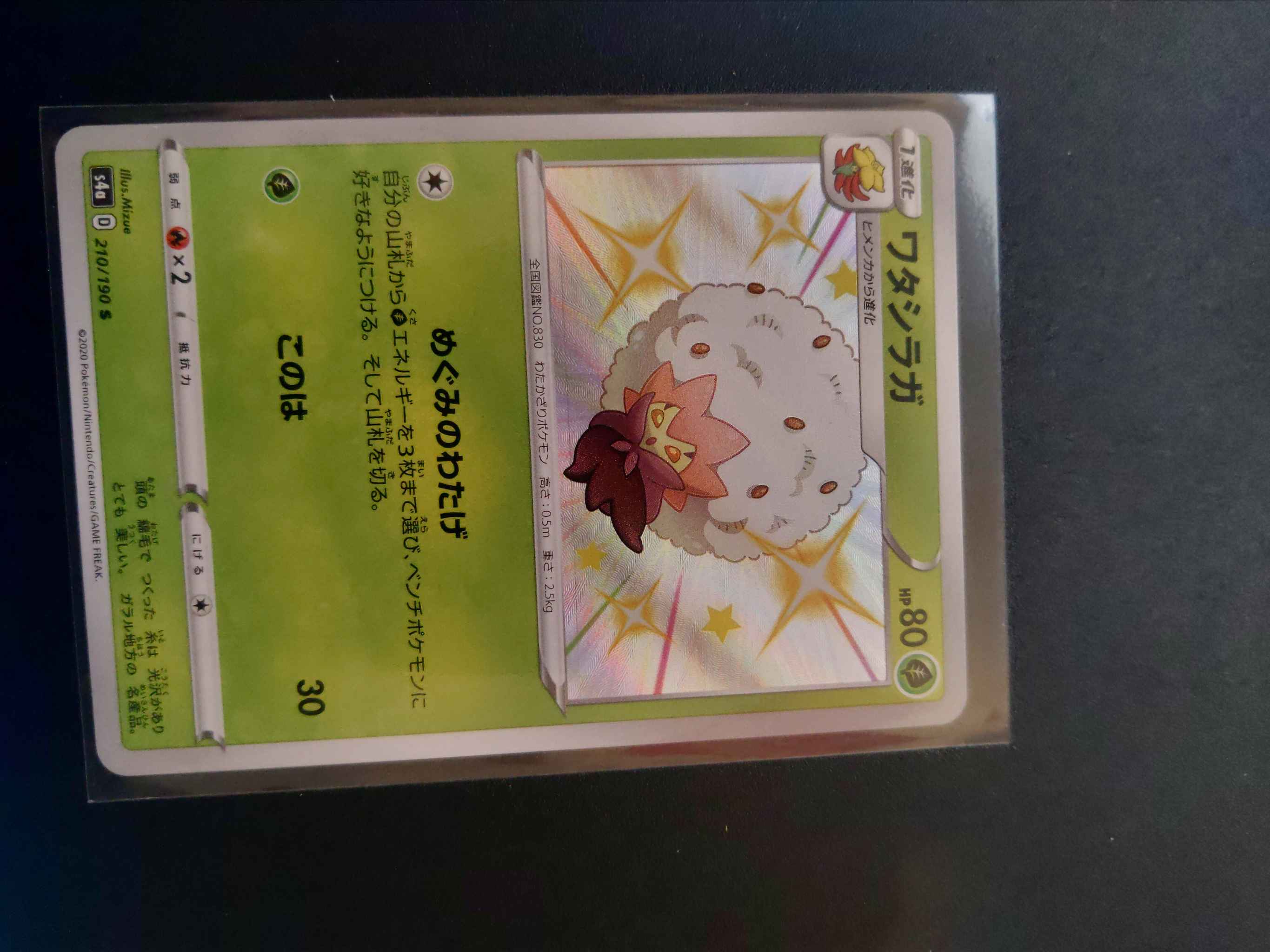 Japanese Eldegoss Eldegoss Shining Fates Shiny Vault Pokemon Online Gaming Store For Cards Miniatures Singles Packs Booster Boxes