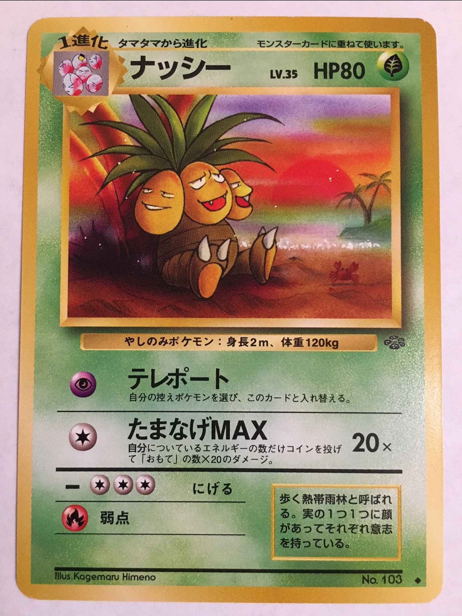 Japanese Exeggutor Exeggutor Jungle Pokemon