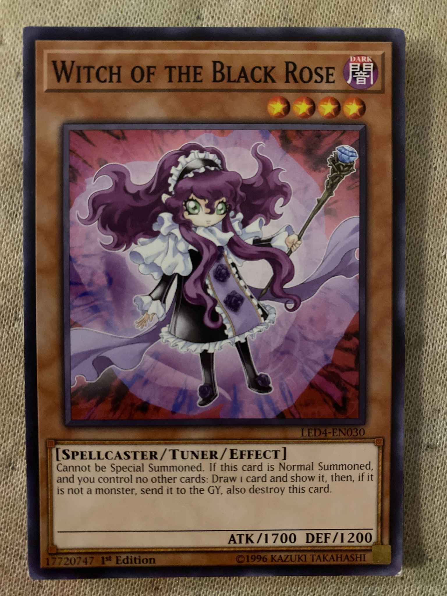 3 x Witch of the Black Rose  LED4-EN030 Common 1st Ed  YuGiOh Cards 