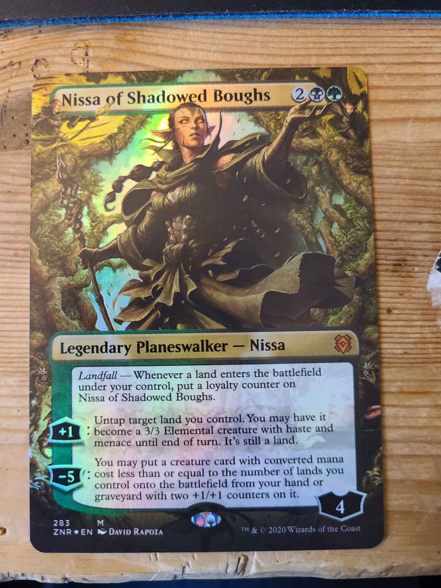 MTG Nissa of Shadowed Boughs Borderless Zendikar Rising  x1 
