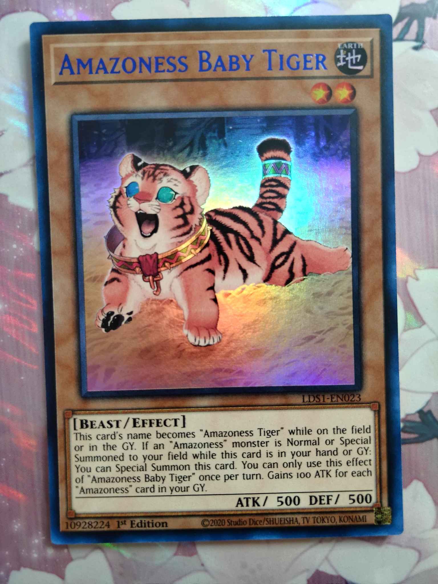 LDS1-EN023 Amazoness Baby Tiger1st EditionBlue Ultra Rare Card YuGiOh TCG 